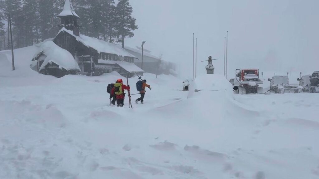 California Avalanche: All Nine Victims Recovered After Tahoe Tragedy