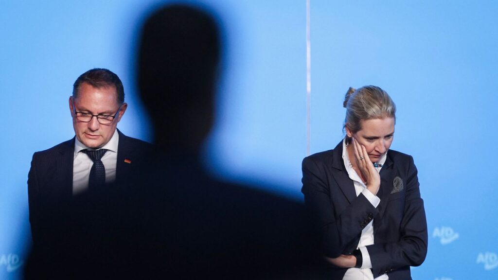 AfD Immobilien Gönner: Zürichs Großgrundbesitzer im Fokus