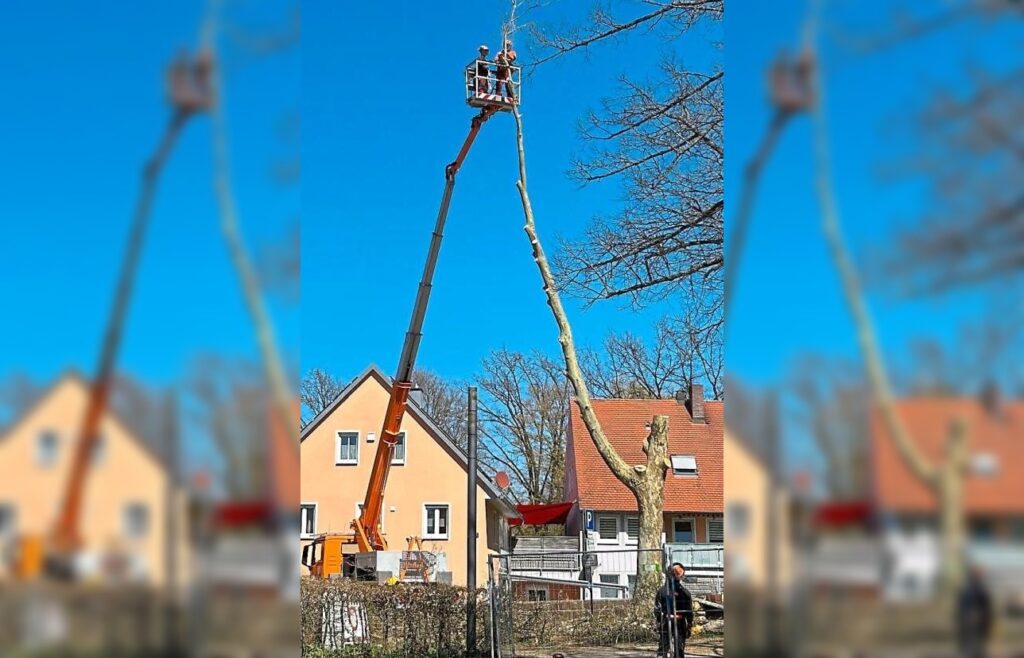 Nordstraße Düsseldorf Kompromiss spaltet Debatte