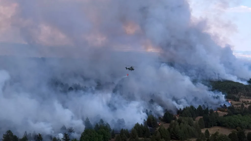 Brand im Vogelschutzgebiet Serbien weitet sich aus