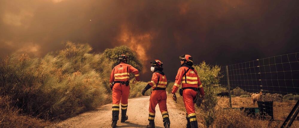 Klimawandel Waldbrandgefahr in Spanien steigt stark Klimawandel Waldbrandgefahr in Spanien steigt stark