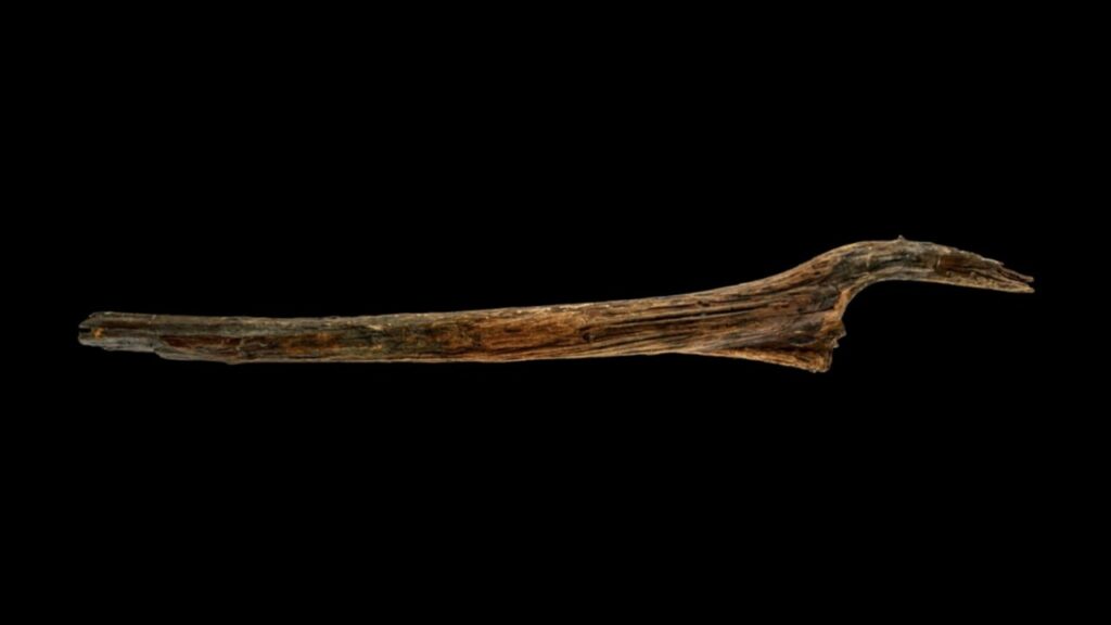 Holzfunde am Arendsee geben Rätsel auf